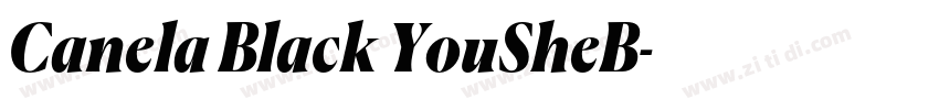 Canela Black YouSheB字体转换 Canela Black YouSheB字体转换